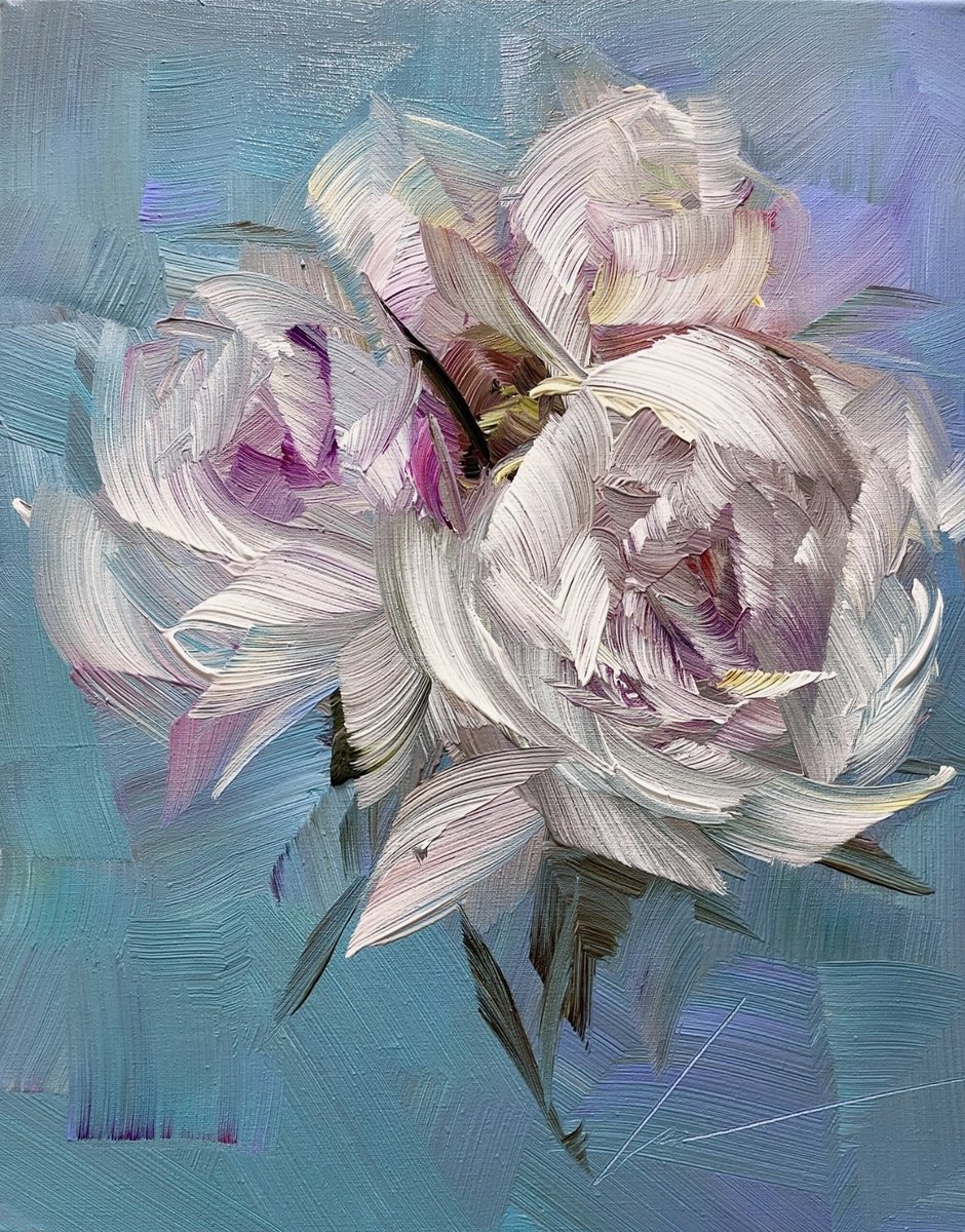 Vera Kober tweet media