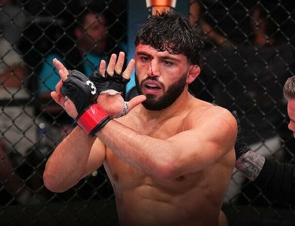 Cage Pulse tweet media