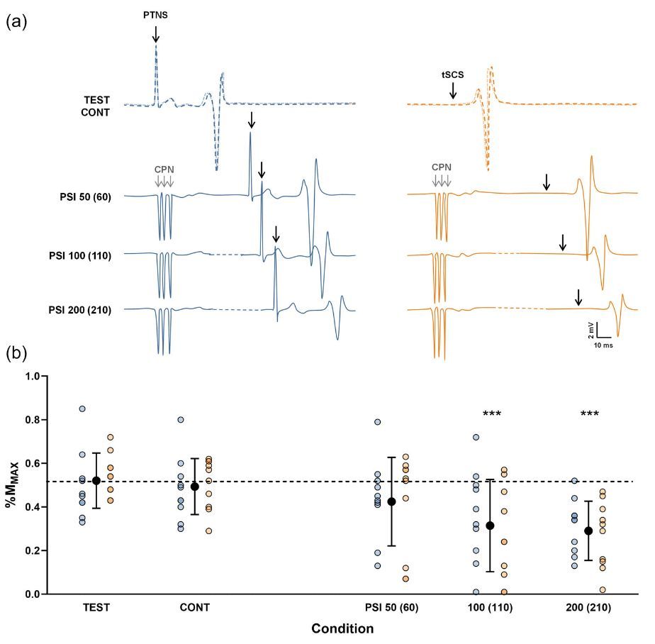 Experimental Physiology tweet media