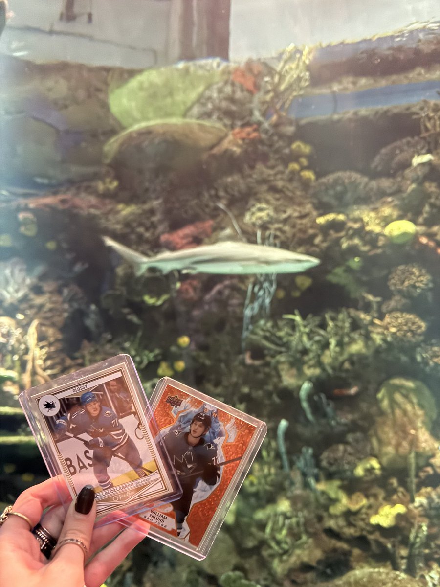 remy ✰ tweet media