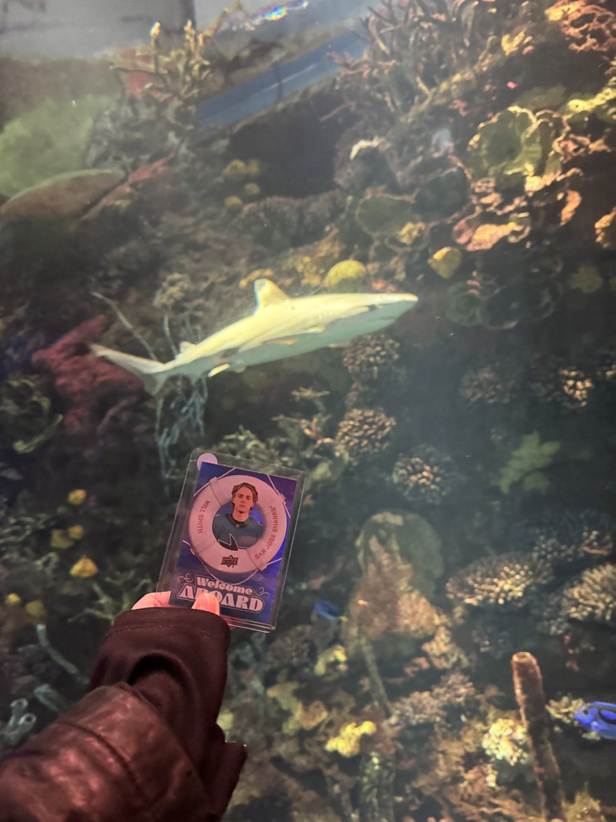 remy ✰ tweet media