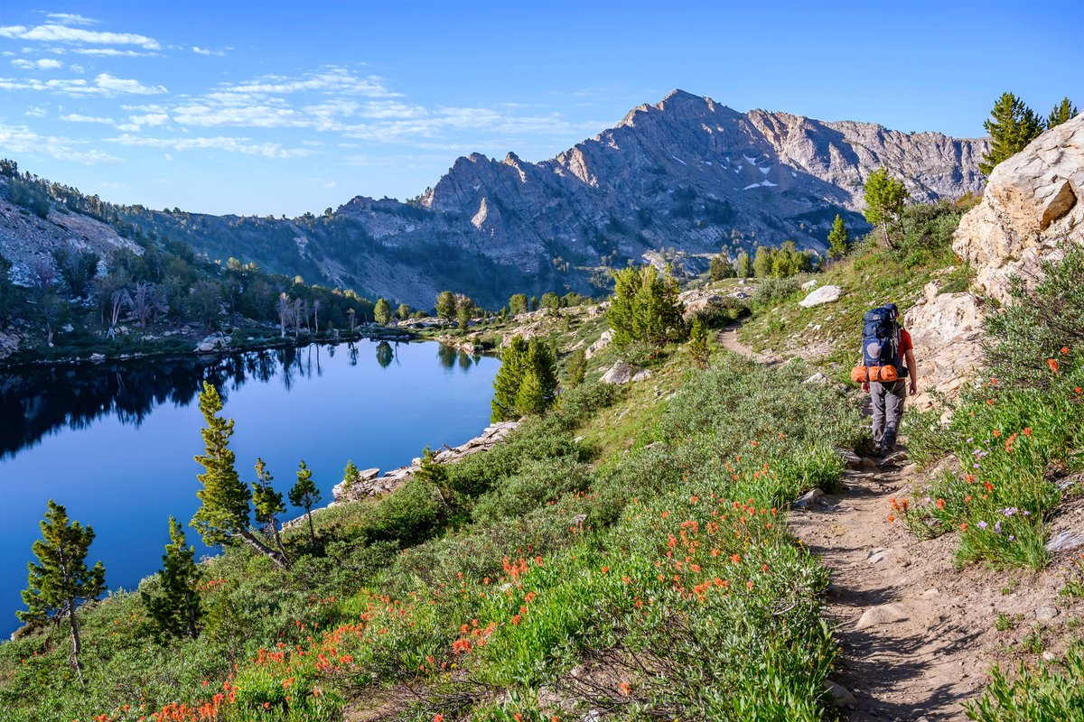 Travel Nevada tweet media