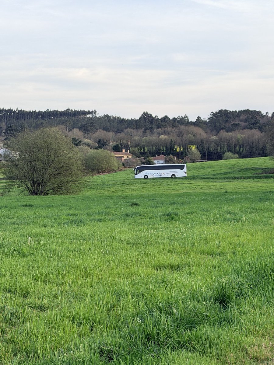 AAVVBUSTO's tweet photo. Que kamikazes os da Conselleria de educación que mandan o bus escolar por carreteiras intransitables.

#RuralGobernadoPorUrbanitas 

@PazodeRaxoi @xanduro https://t.co/Nhd76AWBgx