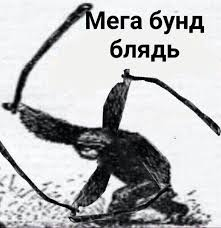 Kopify ✳️ tweet media