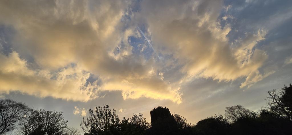 Matthew Rimmer tweet media