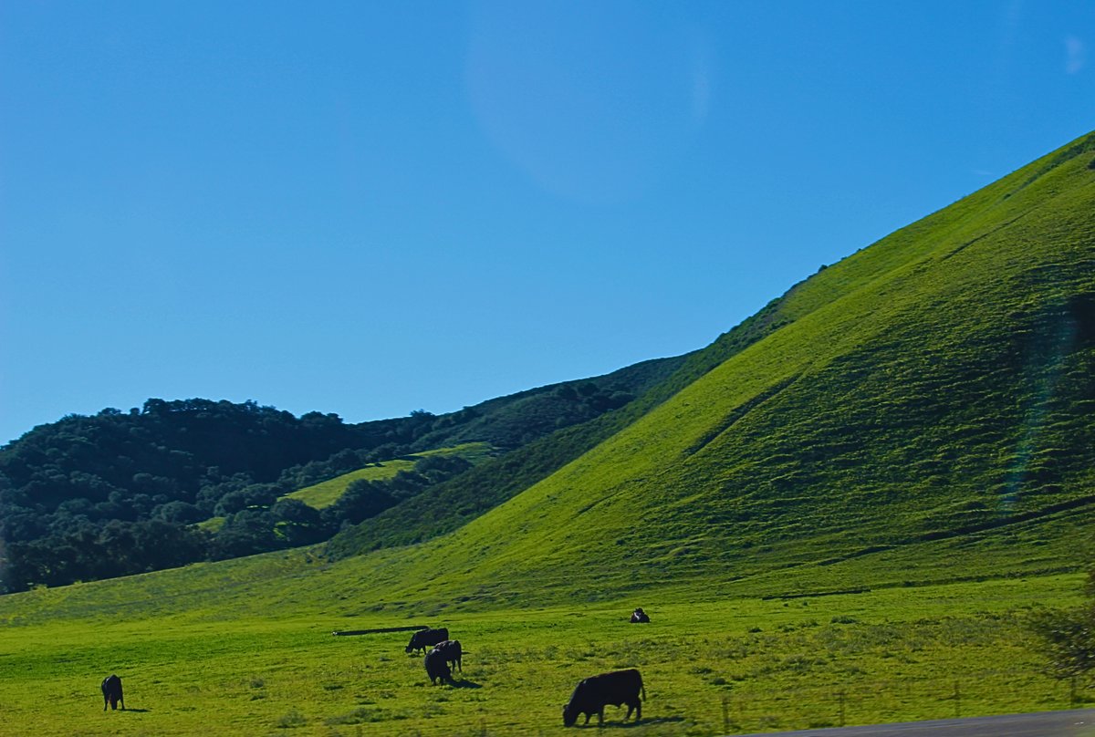 Central Coast Community Energy tweet media