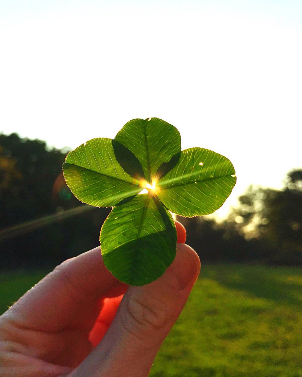 AcreValue® tweet media