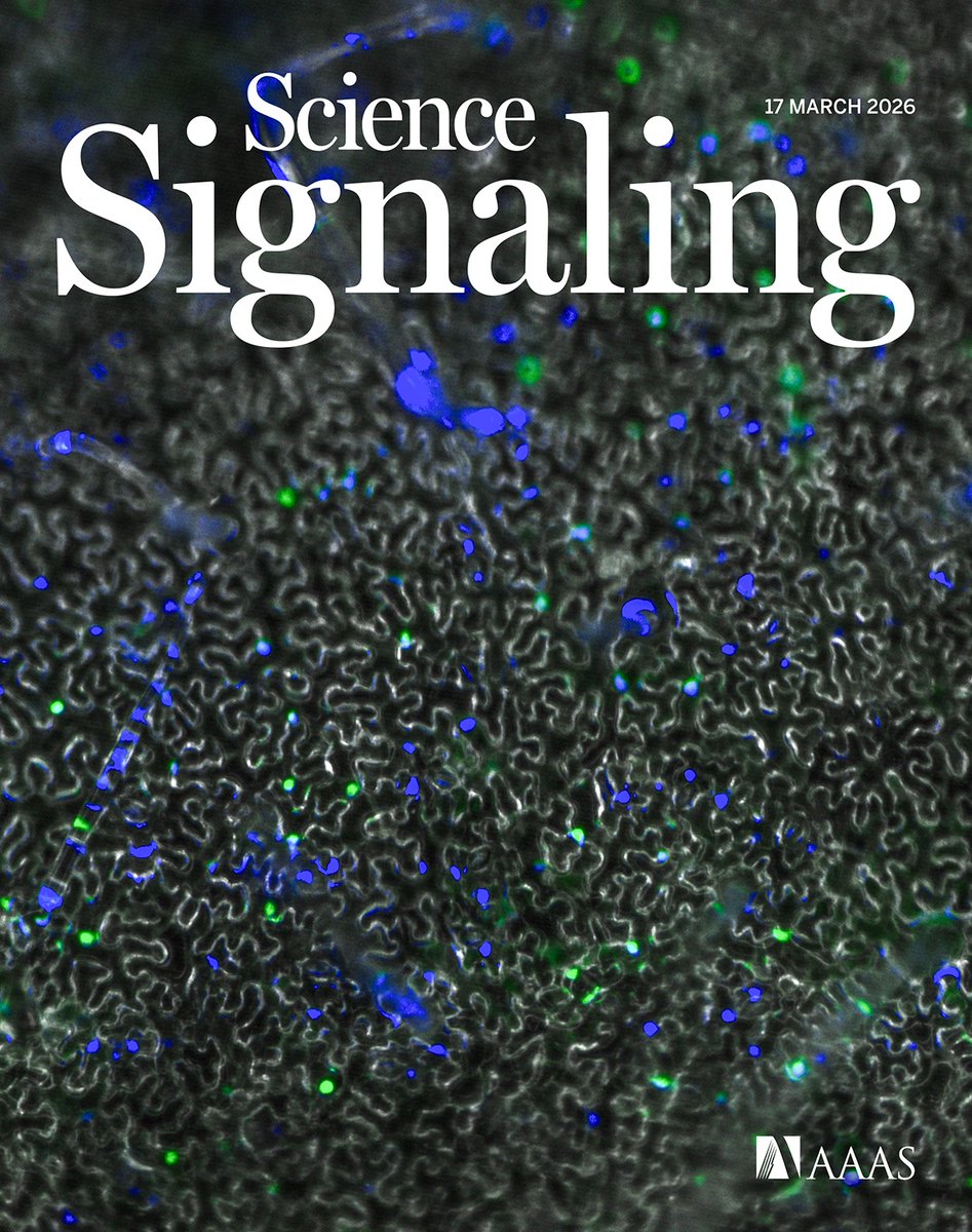 Science Signaling tweet media