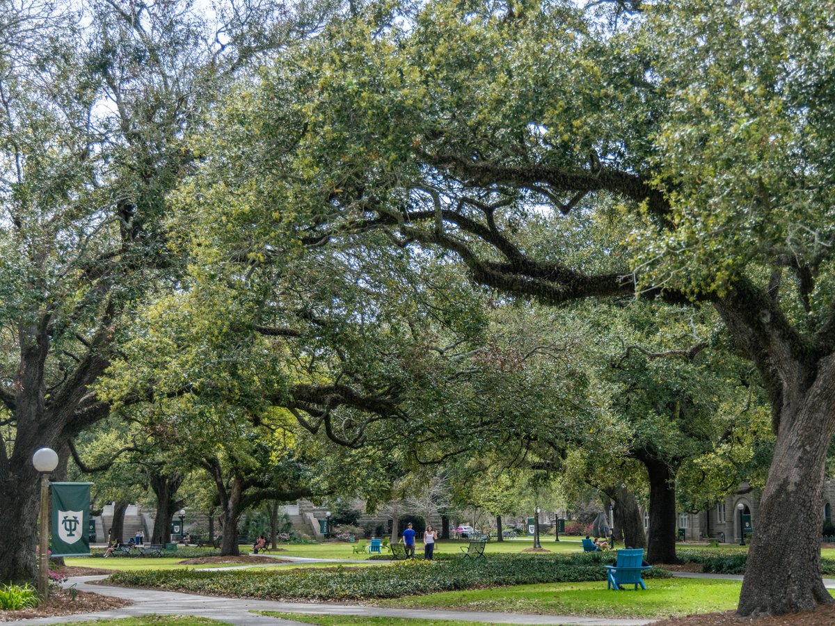 Tulane University tweet media