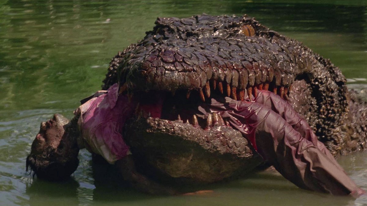 Bloody Disgusting tweet media