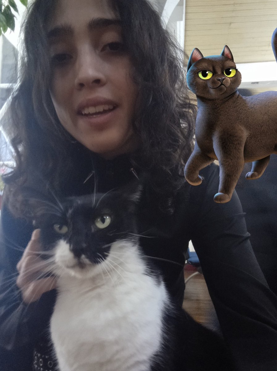 kawaii_ferret tweet media