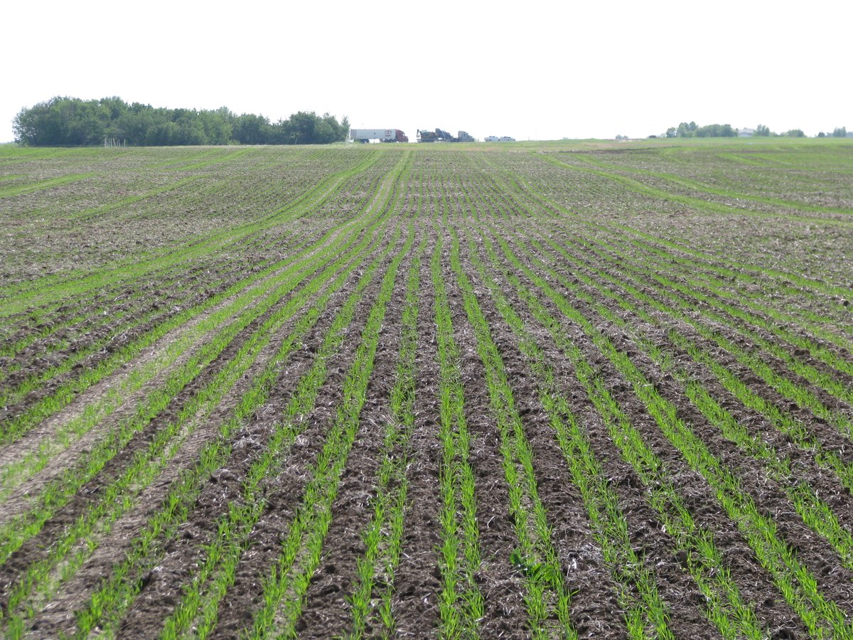 Morris Equipment tweet media