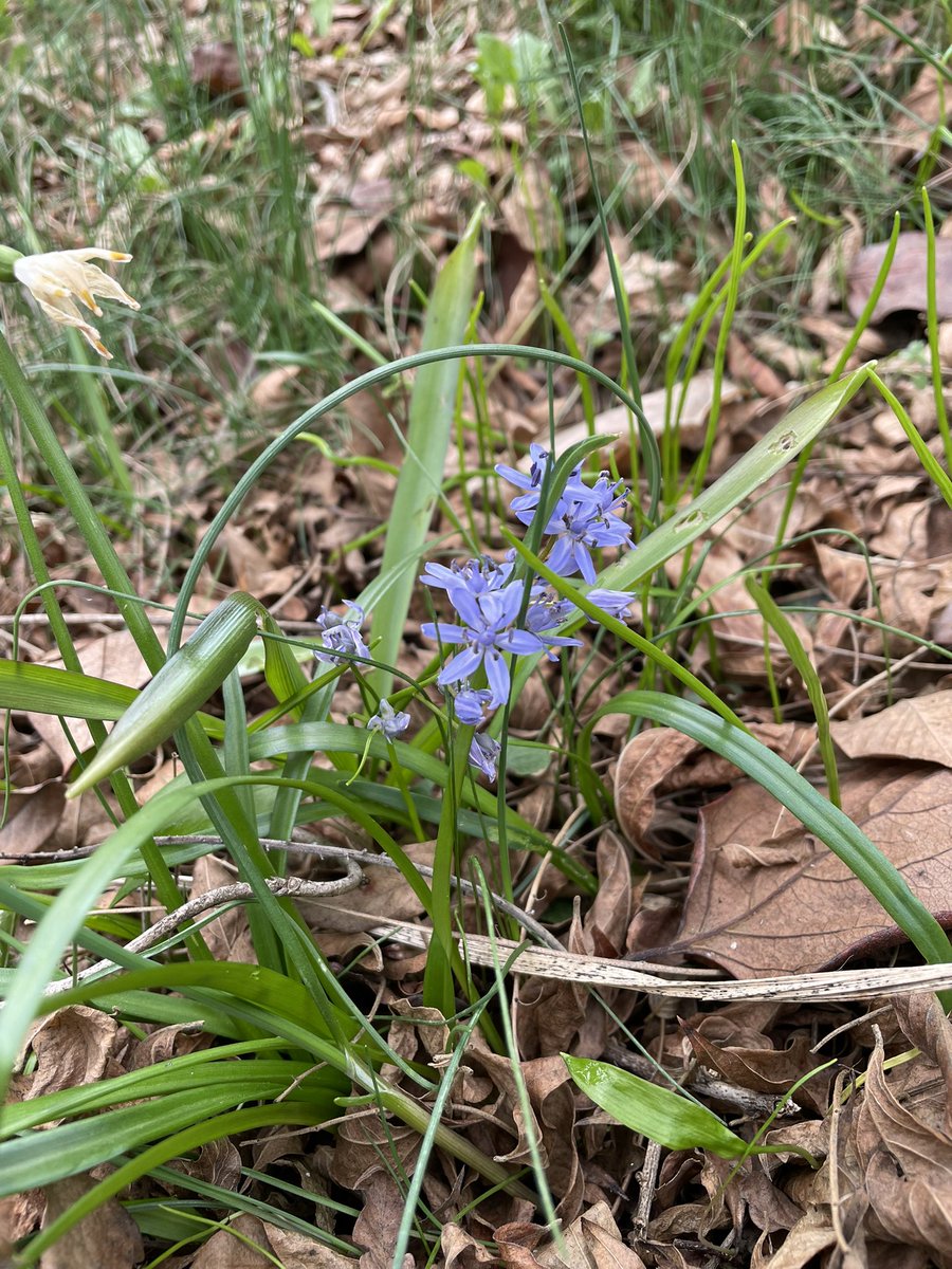 Anna Lucia Montanari tweet media