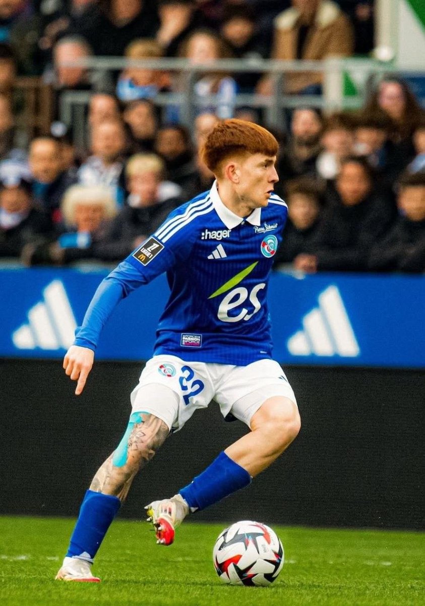 THE CHELSEA FORUM tweet media