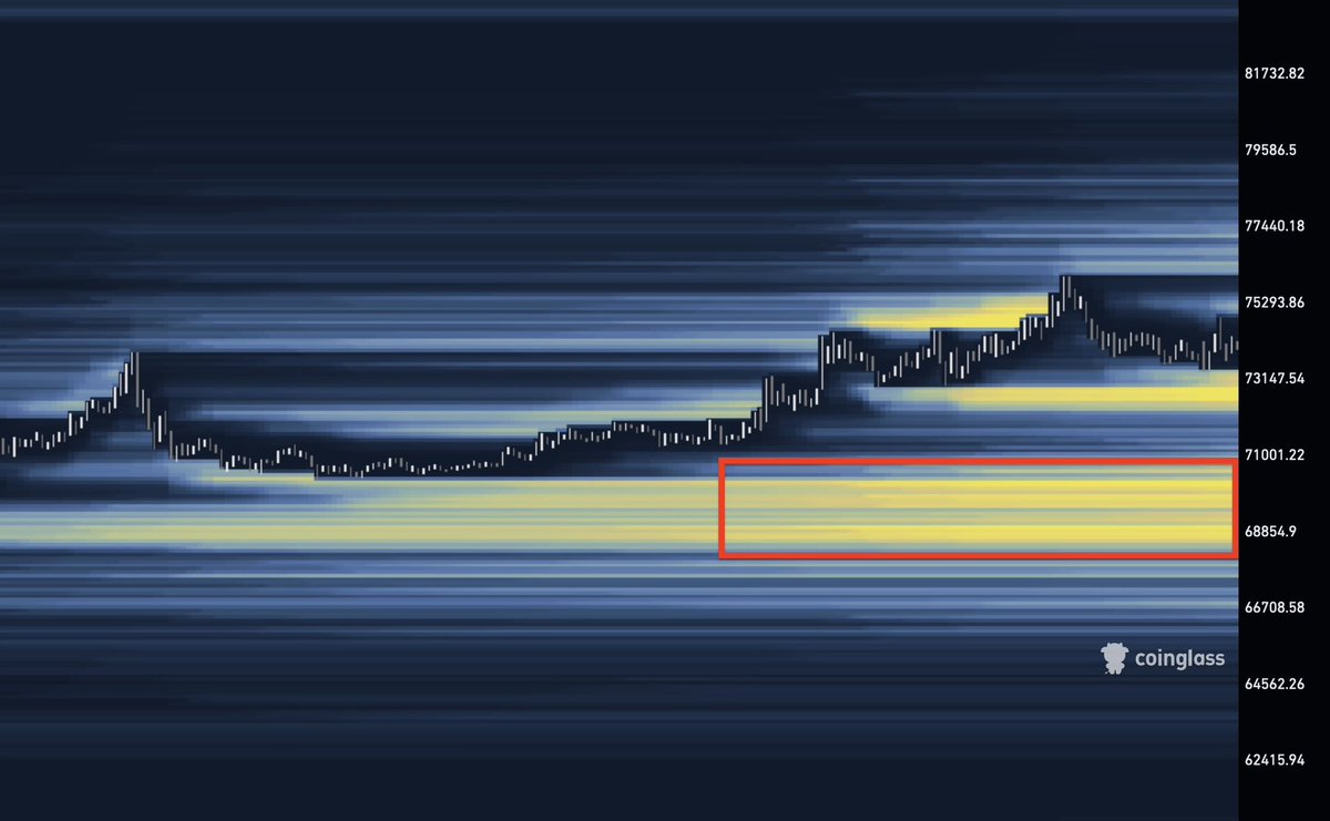 Max Trades tweet media