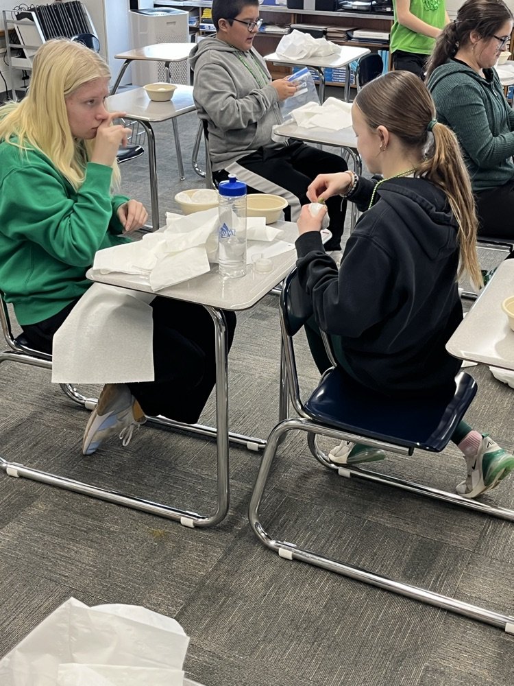 Hatton Eielson School tweet media