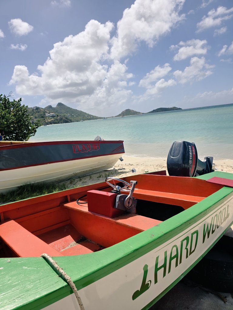 Derby Retweets tweet media