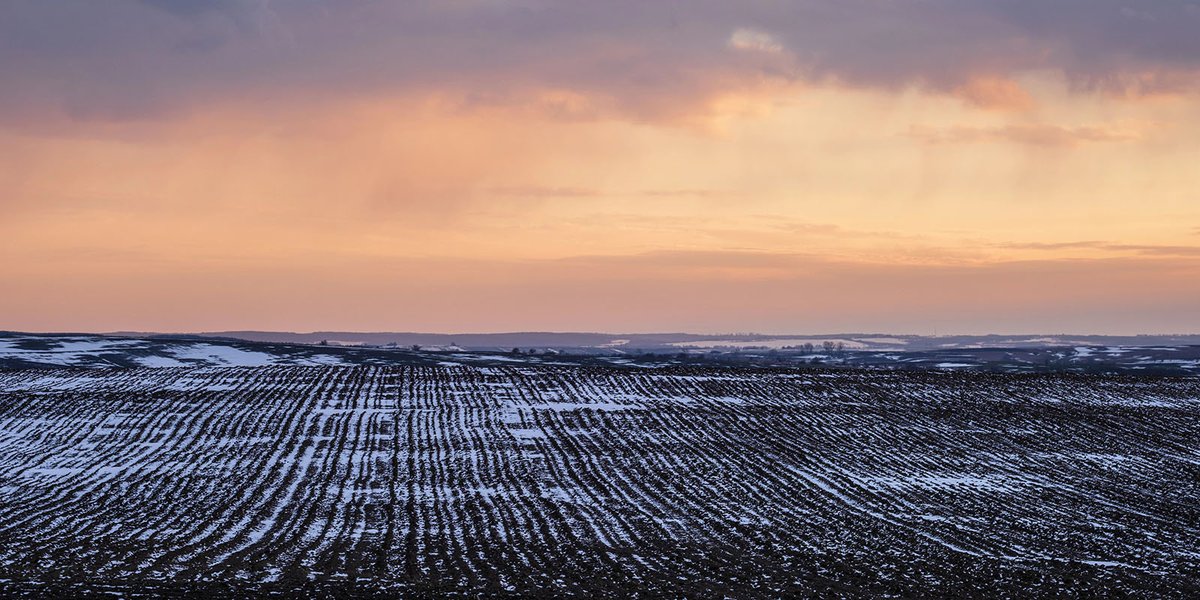 How optimistic are you for the ag economy in 2026? Find out how our audience responded to last month’s survey question. The February Pulse results are in! landthink.com/pulse-american… #land #agriculture