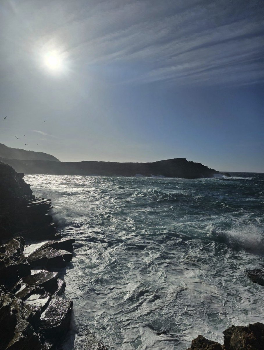 No Quiero tweet media