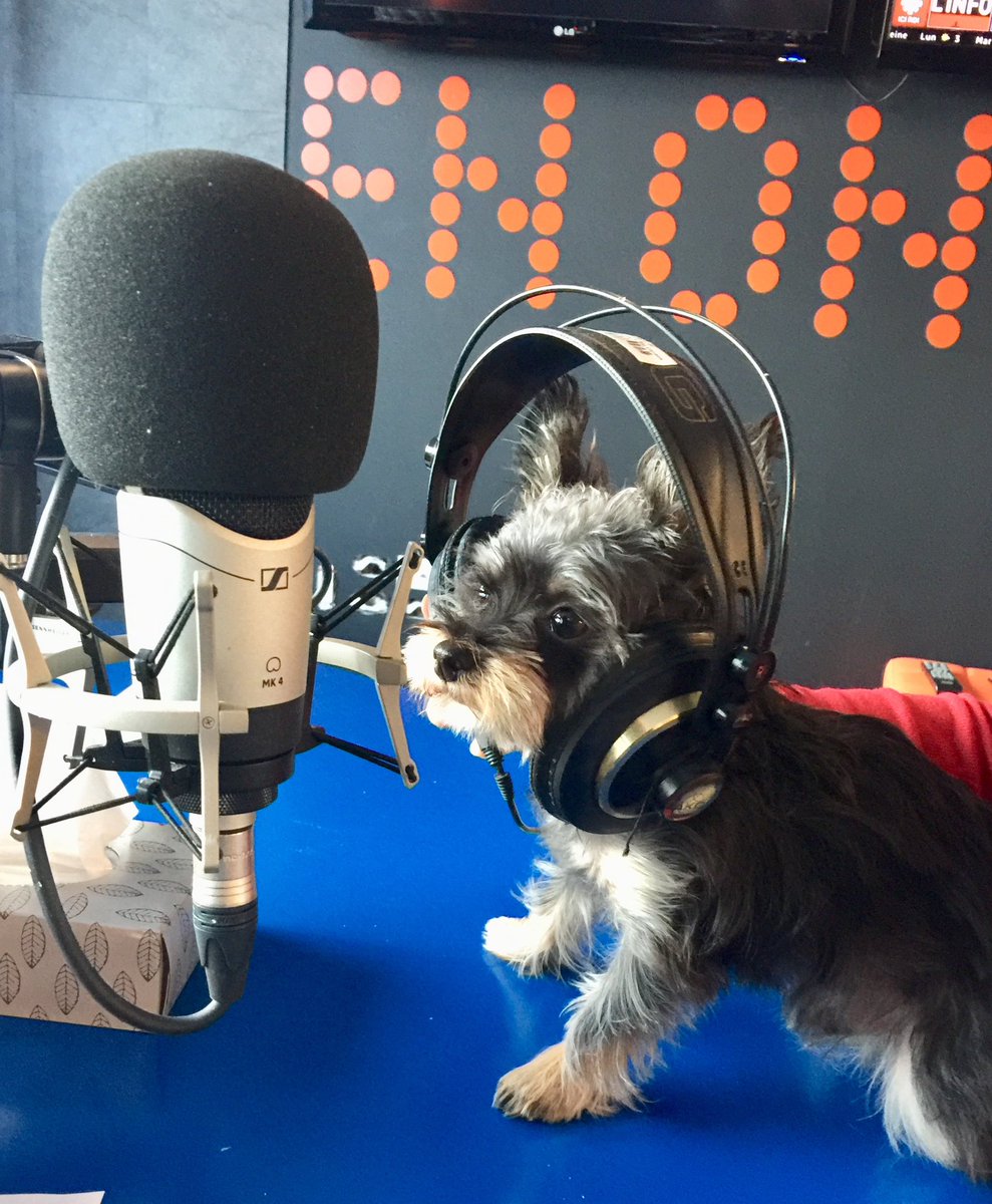 RadioPirate tweet media