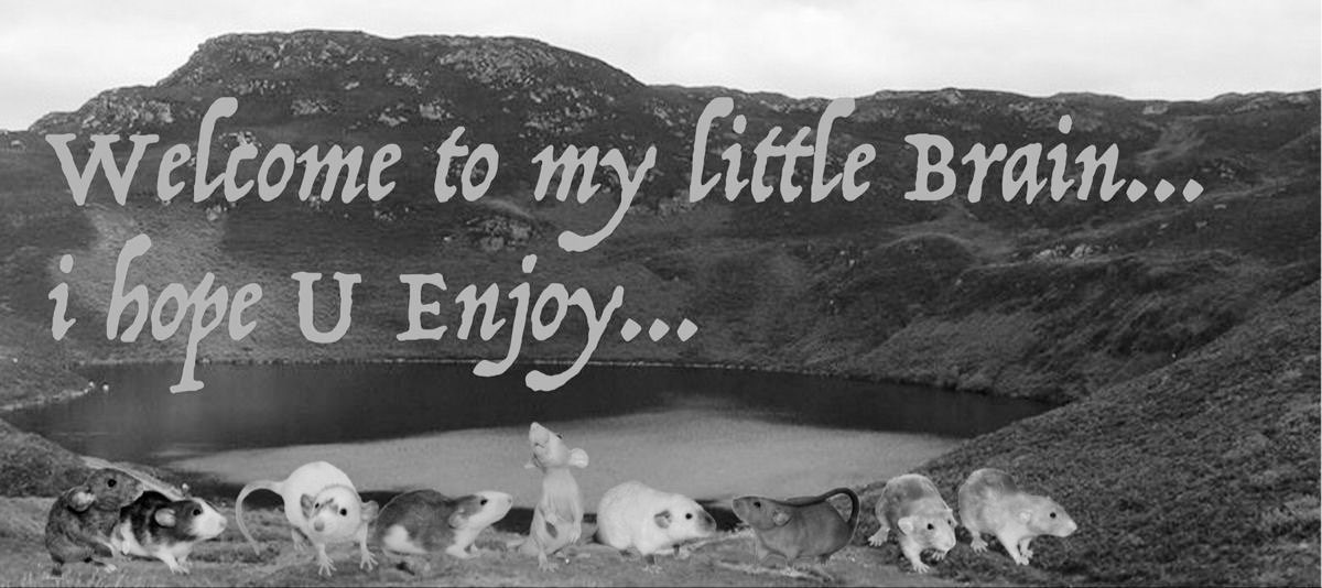 love hangover or judy tweet media