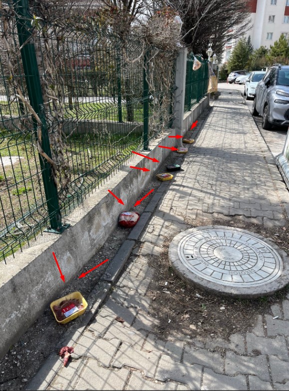 Ra'd An Nx tweet media