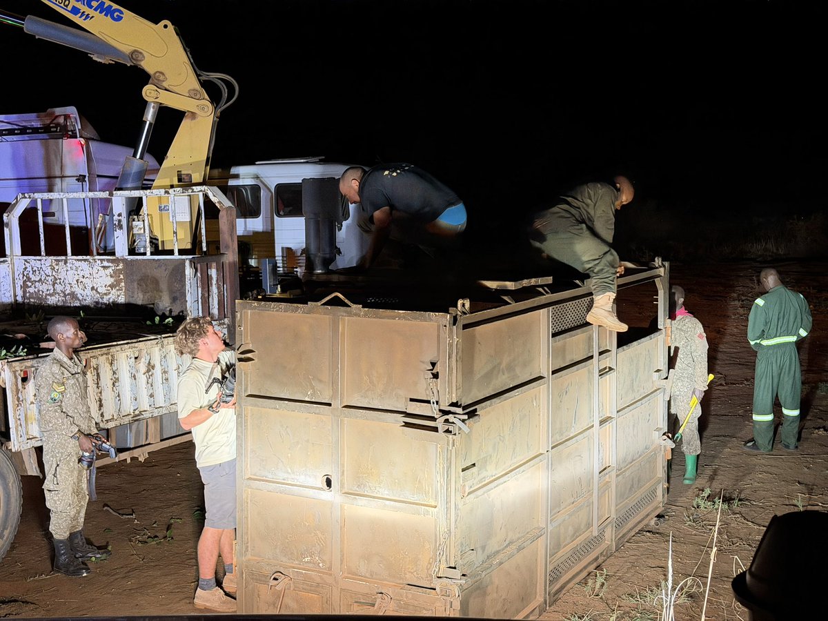 MukigaTraveller's tweet photo. RHINO UPDATE!!!!

600km later, the rhinos have successfully arrived at their new home - Kidepo Rhino Sanctuary.

Led by a team of professionals including veterinary specialists, the two rhinos have been marked as 01 & 02 and also successfully “vaccinated” against tsetse flies.

These rhinos will be monitored to see how they assimilate in the new environment before others are translocated too.

#RhinoConservation #RhinoIntroductionKidepo