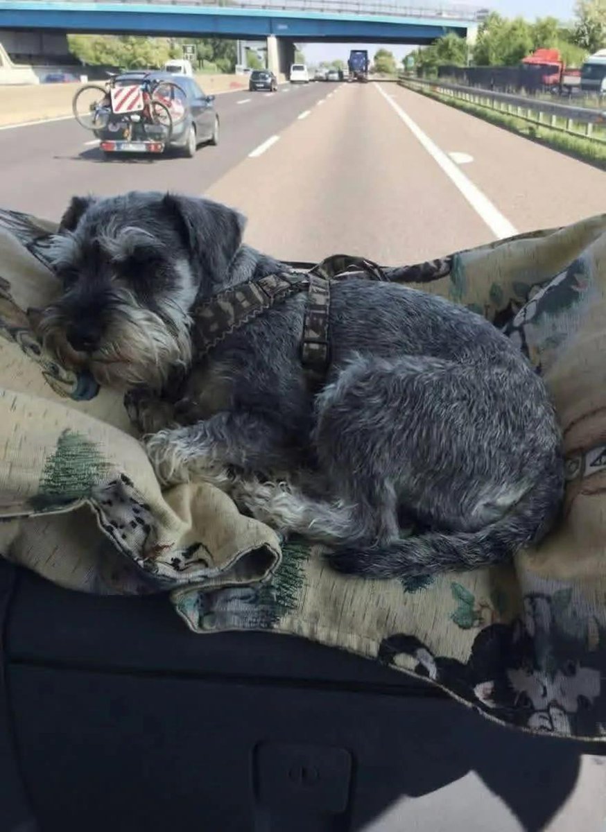 Sara Mary ⭐❤️ tweet media