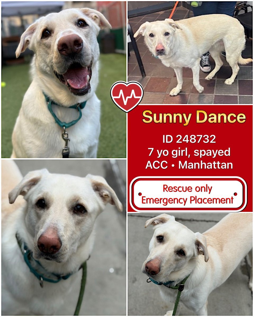 Not the Same tweet media