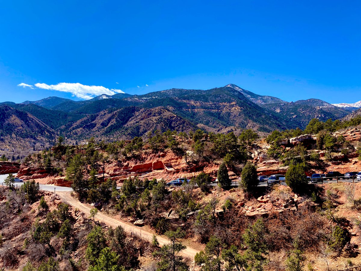 Aaron Thompson 🎥 tweet media