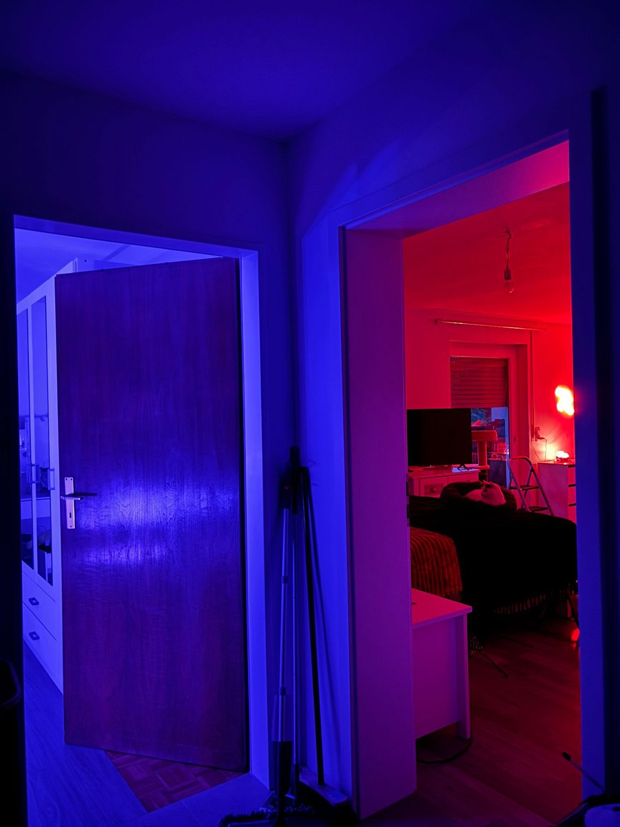 Elfilea ✨🕊️ tweet media