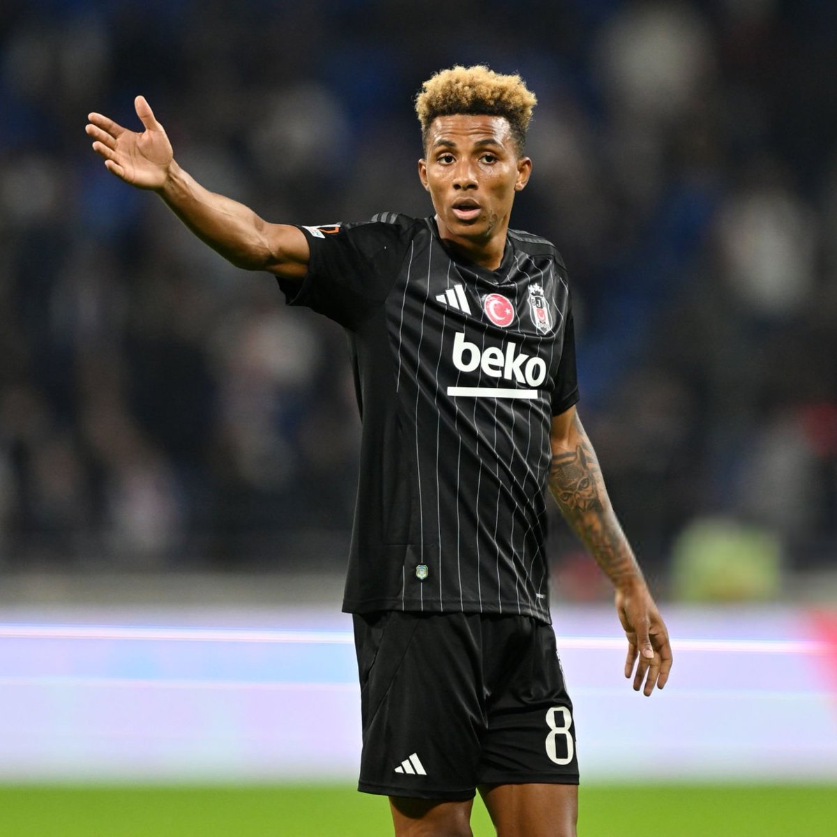 Deportes Reports tweet media