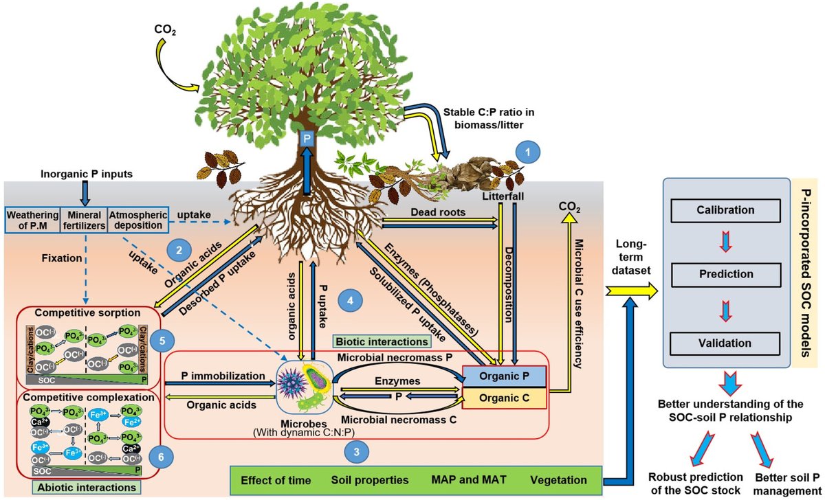 Yakov Kuzyakov . . . priming Soil Science tweet media