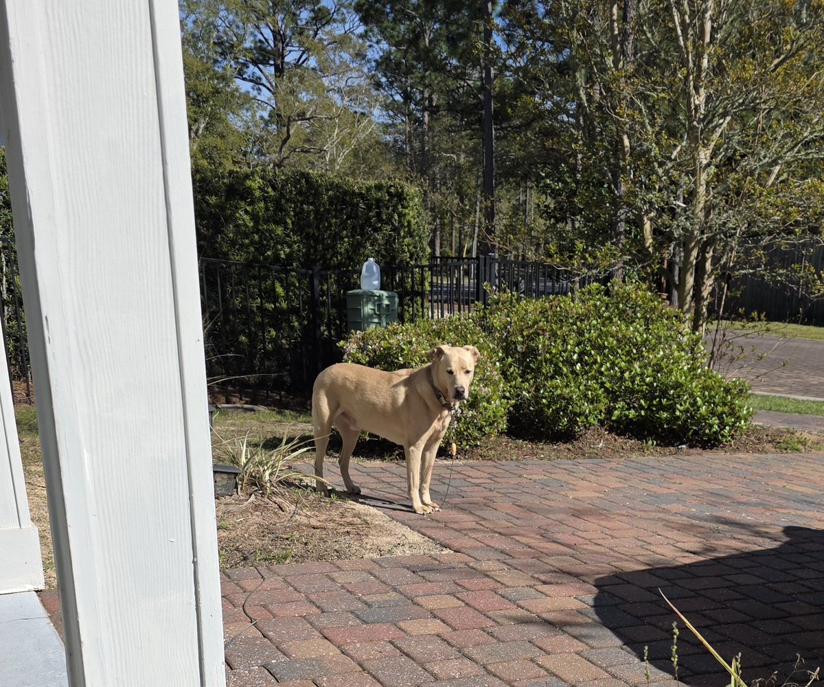 Kenny Anderson tweet media