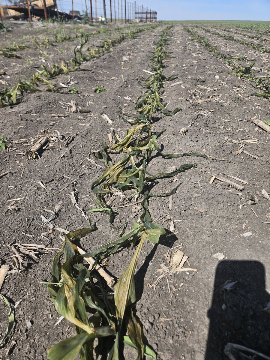 Allen Meissner tweet media