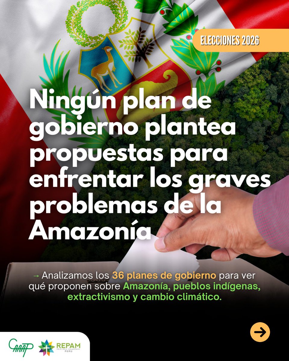 CentroAmazónicoPerú tweet media