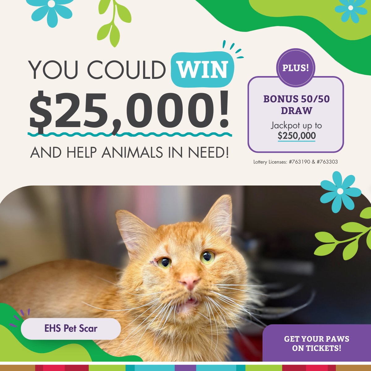 Edmonton Humane Society tweet media