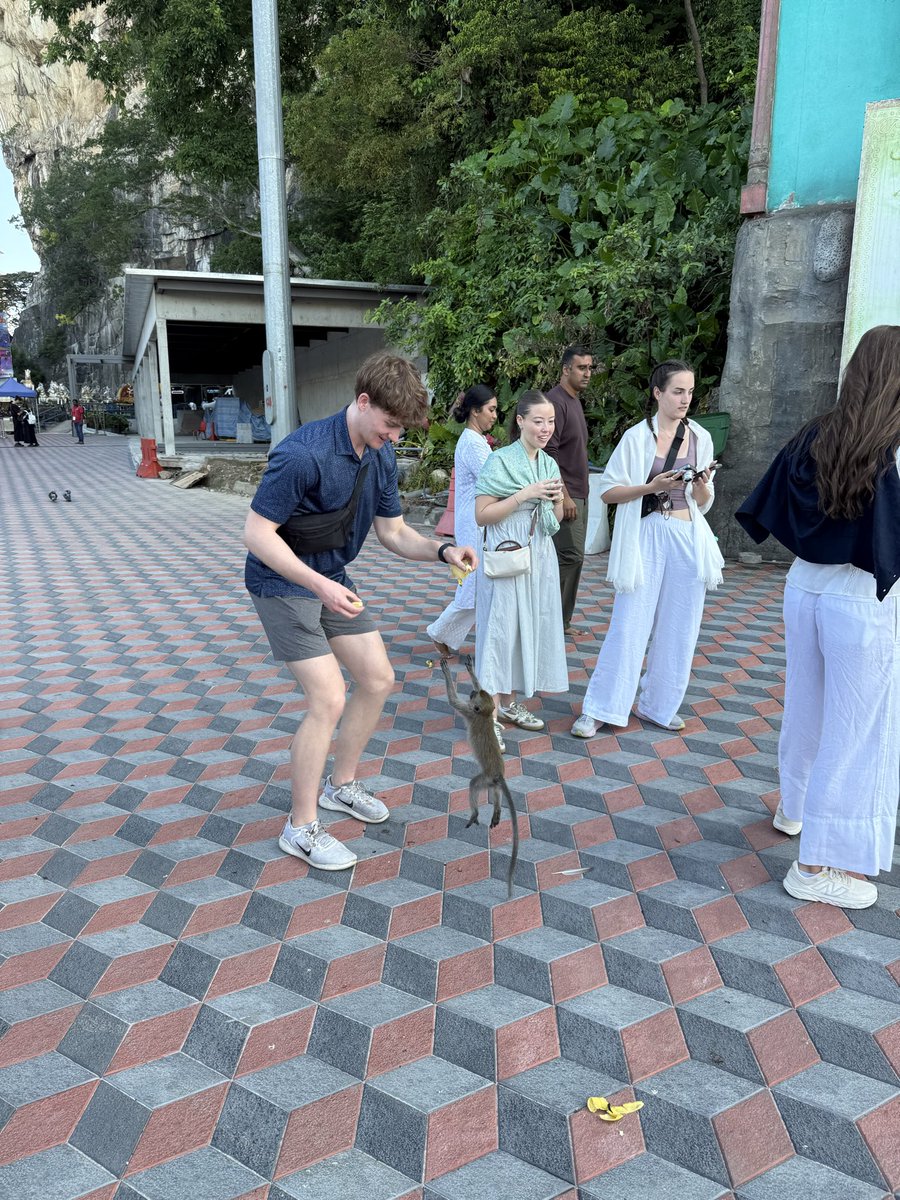 Tim Hodges tweet media