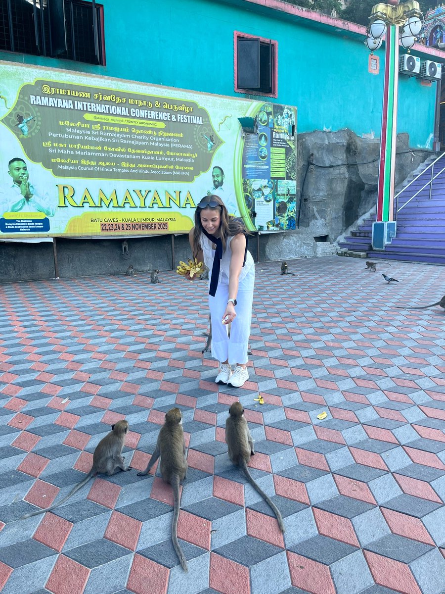 Tim Hodges tweet media