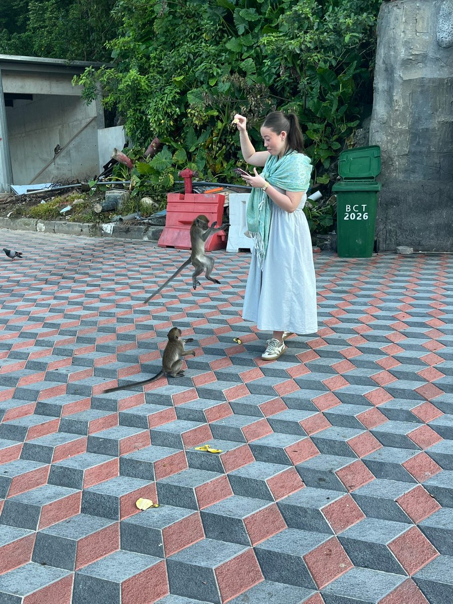 Tim Hodges tweet media