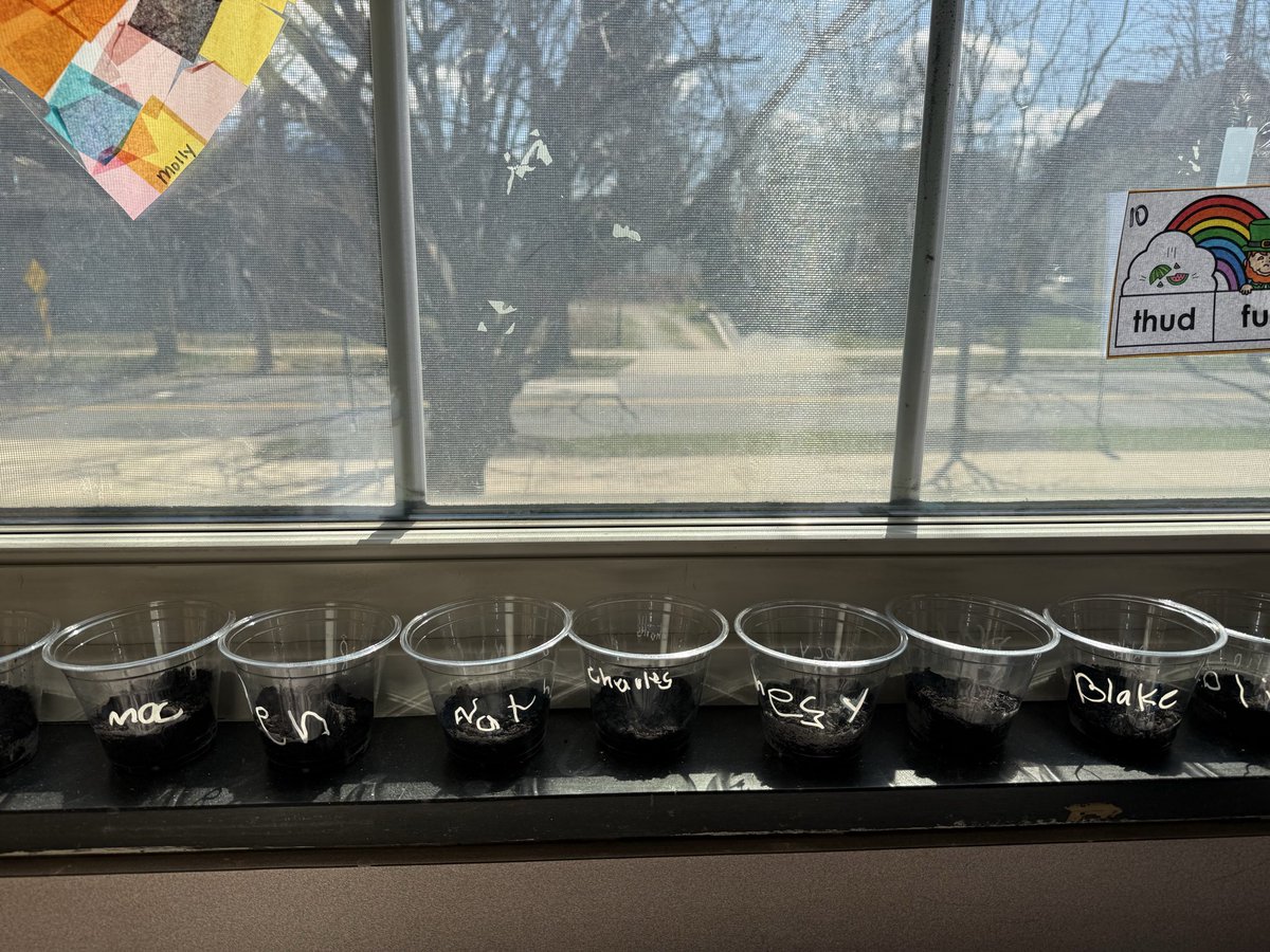 Ms. Volk tweet media