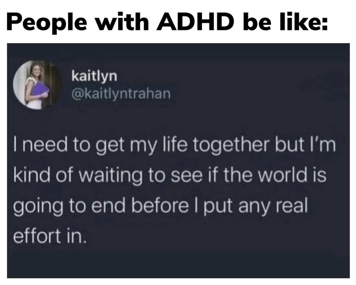 ADHD Memes tweet media