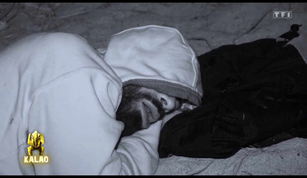 NEWS TV RÉAL tweet media