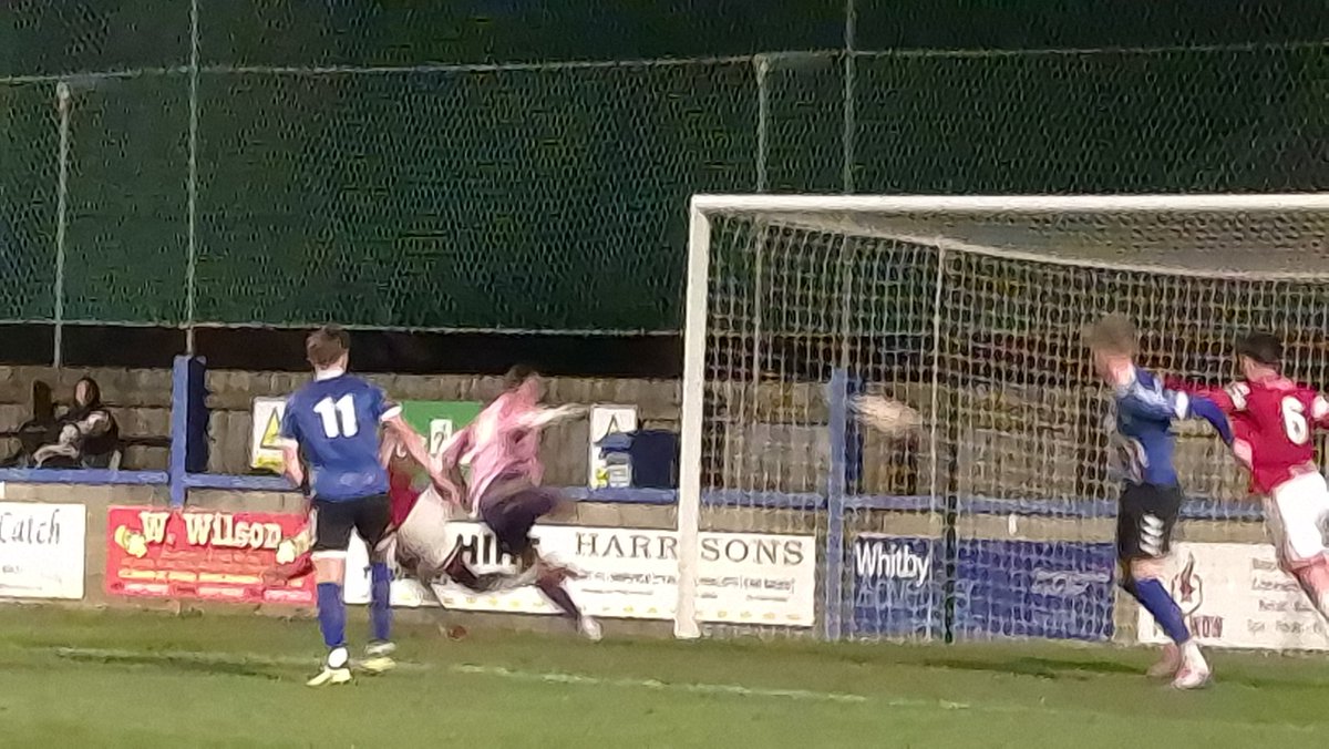 Steven holliday tweet media