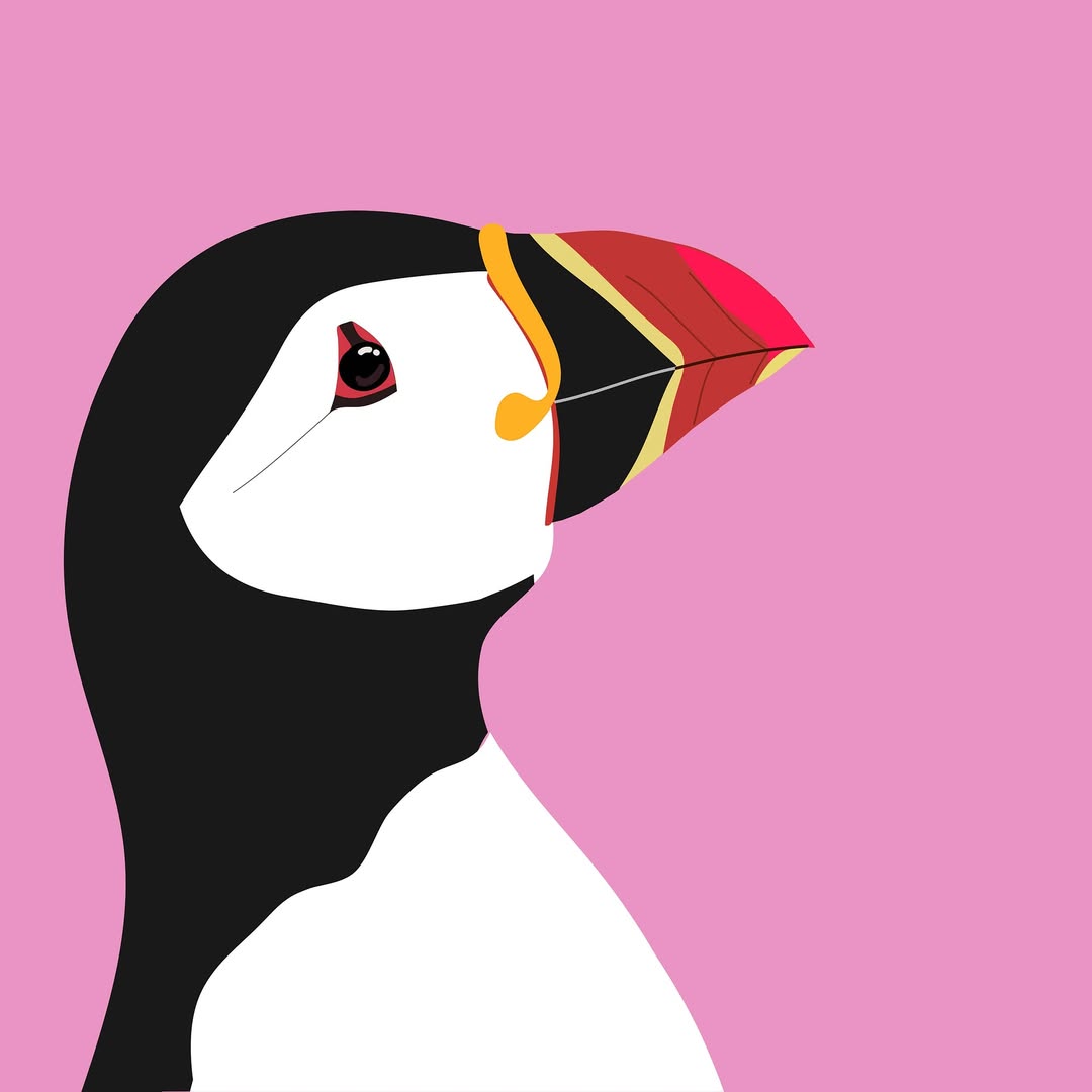 Project WILD tweet media