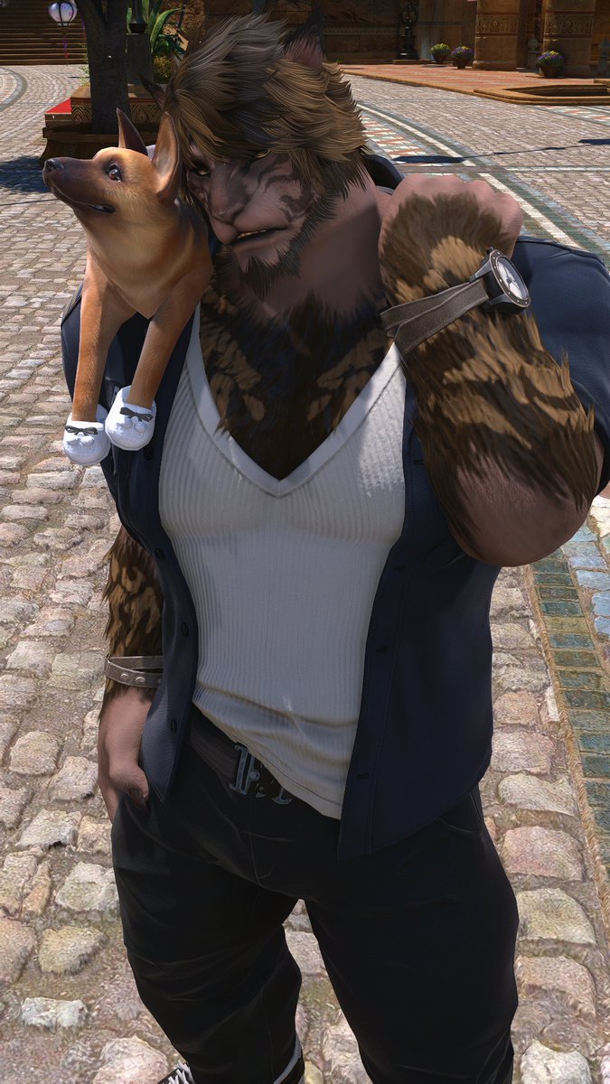 Treu Sunglasses tweet media