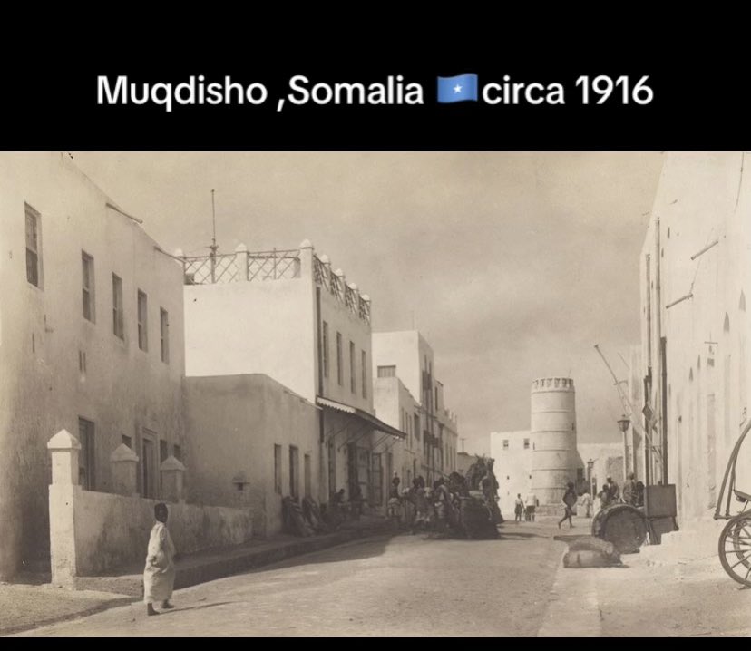 The Somali Dispatch News tweet media