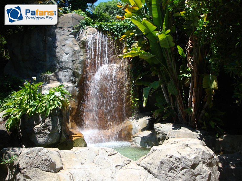 Toni Soriano 🐒! tweet media