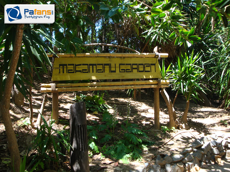 Toni Soriano 🐒! tweet media