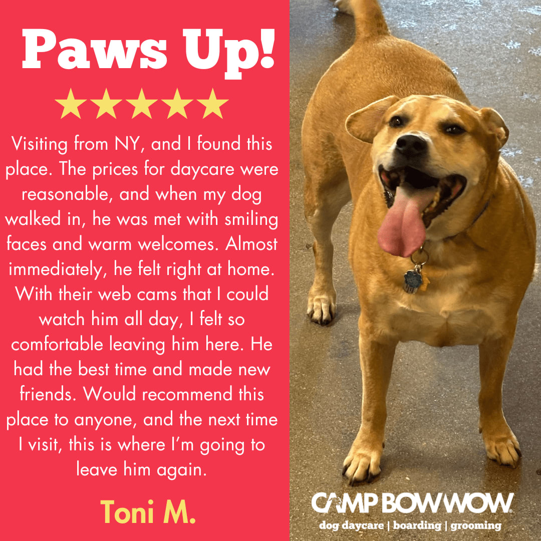 CampBowWow Henderson tweet media